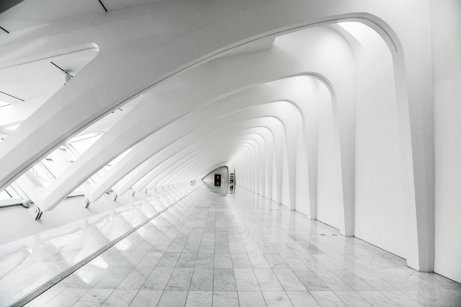 Collectie Architect — architectonisch interieur met gebogen vormen